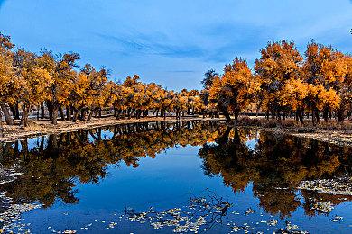 《秘密关卡》战锤40K剧集 将是《星际战士2》剧情延续